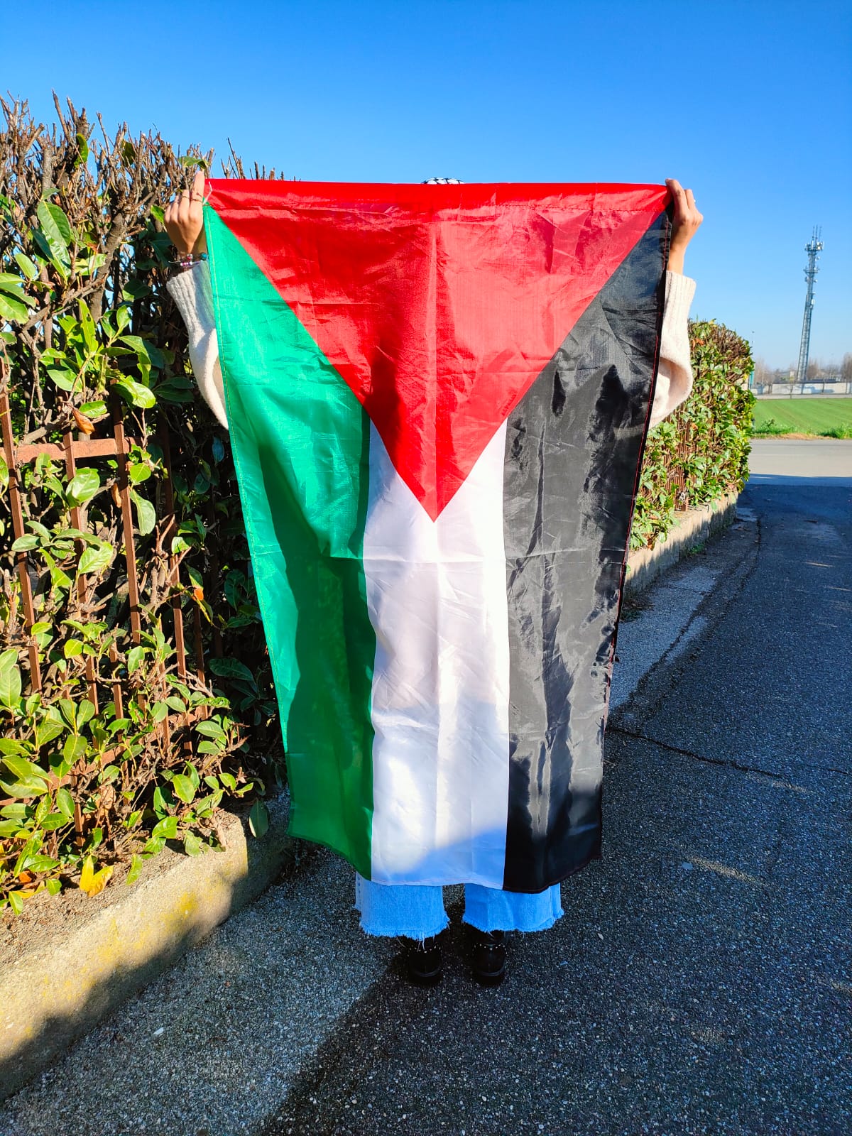 Bandiera Palestina