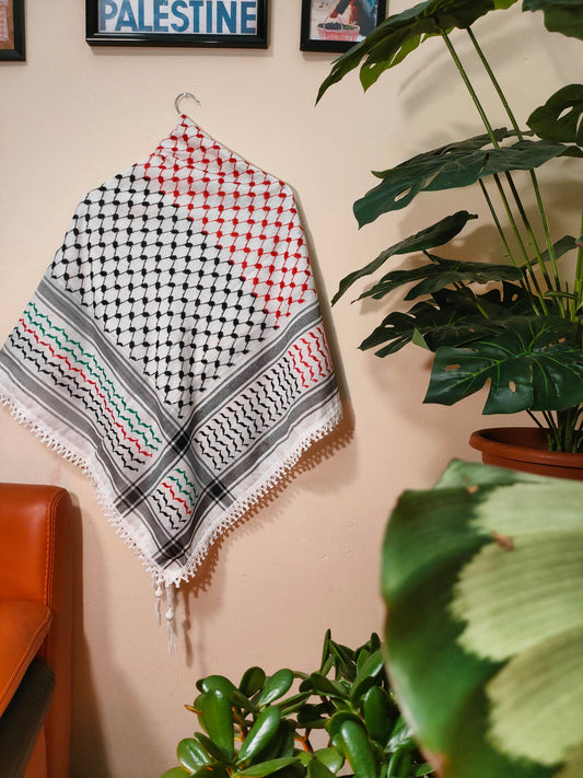 Kefiah con i colori della Palestina